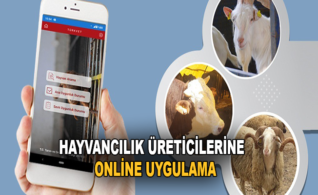 Hayvancılık üreticilerine online uygulama