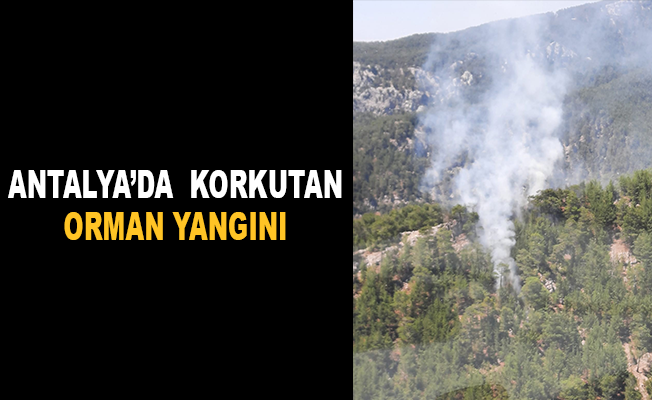 Antalya’da korkutan orman yangını