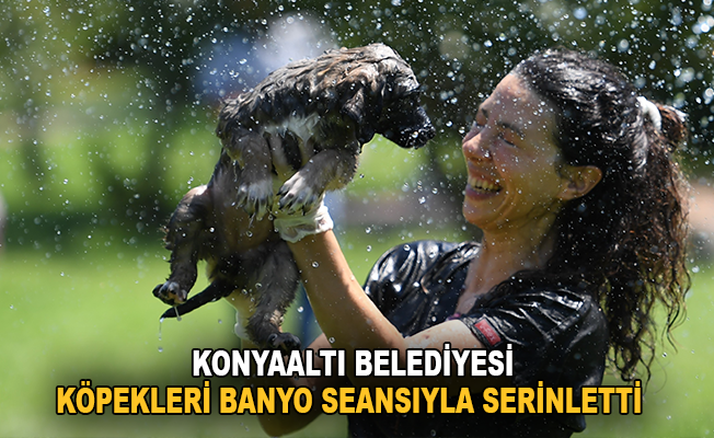 Konyaaltı Belediyesi köpekleri banyo seansıyla serinletti