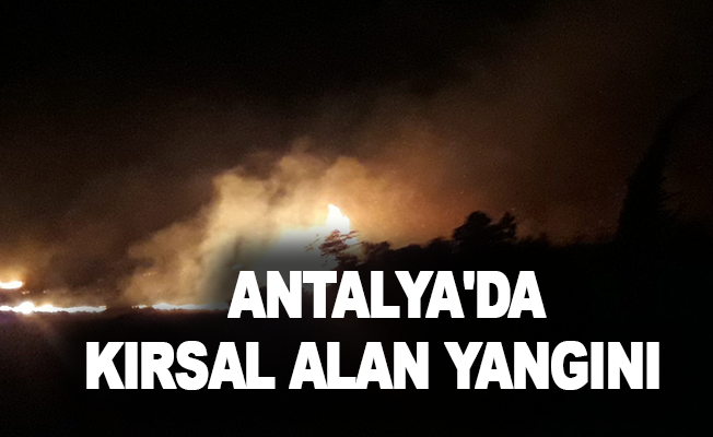 Antalya'da kırsal alan yangını