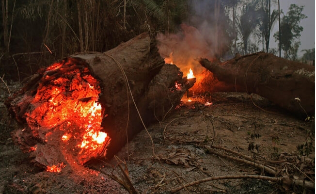 Alanya Demirtaş’ta orman yangını