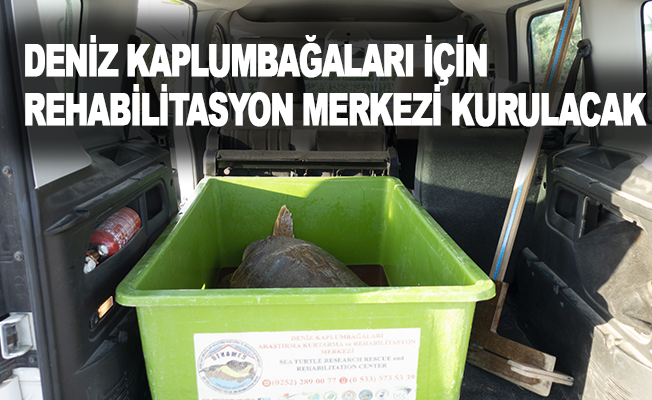 Deniz kaplumbağaları için rehabilitasyon merkezi kurulacak