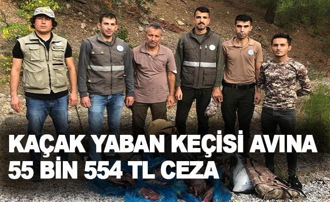 Kaçak yaban keçisi avına 55 bin 554 TL ceza