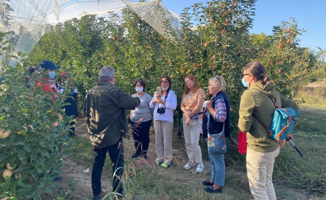 Alanya'da yaşayan Rus turistler elma hasadına katıldı