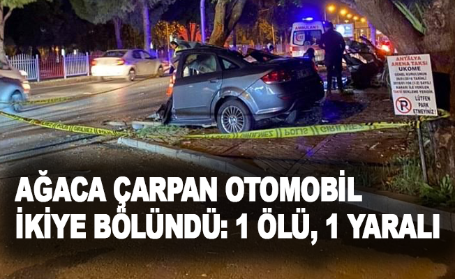 Antalya’da ağaca çarpan otomobil ikiye bölündü: 1 ölü, 1 yaralı