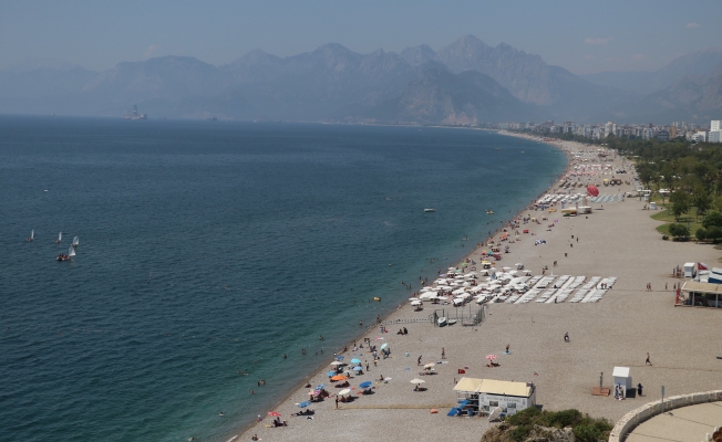 Antalya Körfezi'ne ulaşan denizanaları besin eksikliğinden ölüyor, tehlike yok oluyor
