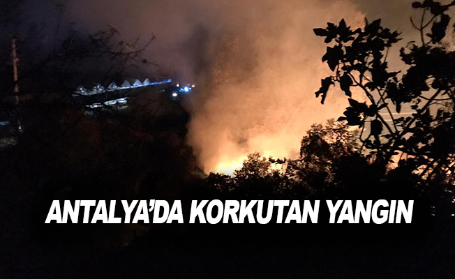 Antalya’da korkutan yangın