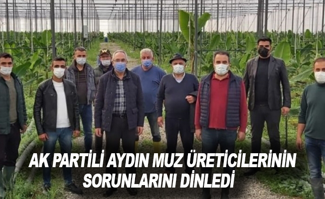 AK Partili Aydın muz üreticilerinin sorunlarını dinledi