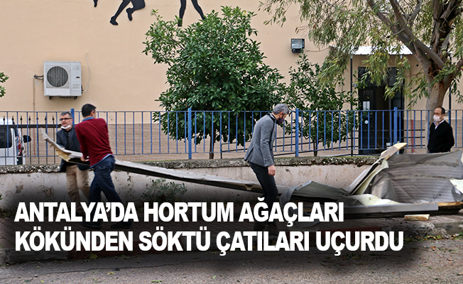 Antalya’da hortum ağaçları kökünden söktü, çatıları uçurdu