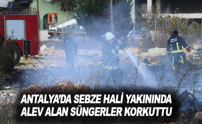 Antalya’da sebze hali yakınında alev alan süngerler korkuttu