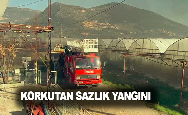 Antalya'da korkutan sazlık yangını