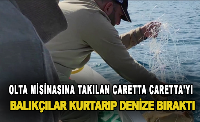 Olta misinasına takılan Caretta Caretta'yı balıkçılar kurtarıp denize bıraktı