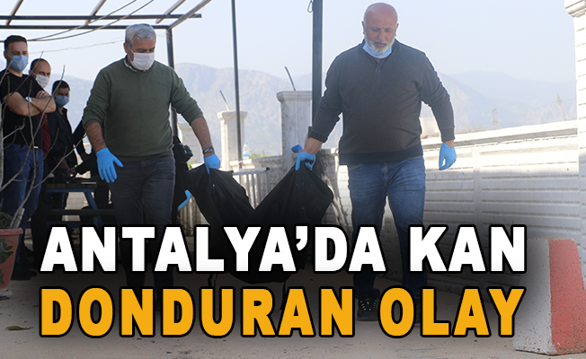 Antalya'da kan donduran olay