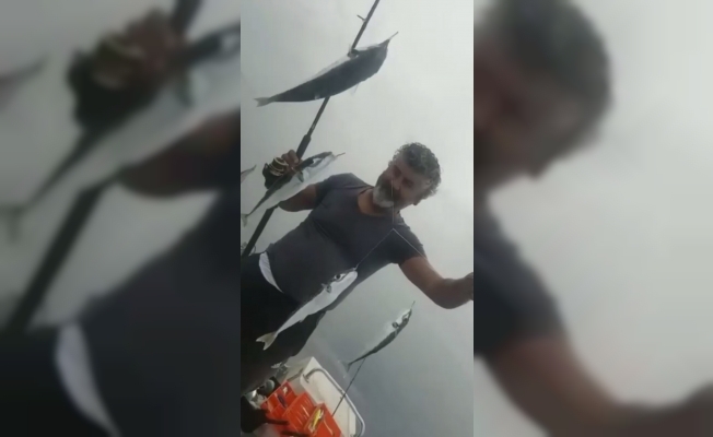 Antalya'da balon balıkları oltalara 4'er 4'er takılıyor