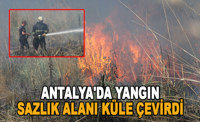 Antalya'da yangın sazlık alanı küle çevirdi