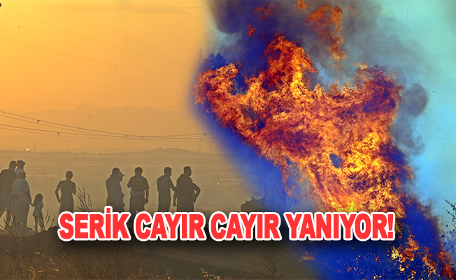 Antalya’da mahalleliyi sokağa döken yangın