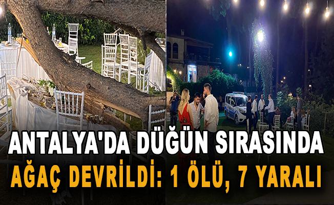 Antalya'da düğün sırasında ağaç devrildi: 1 ölü, 7 yaralı