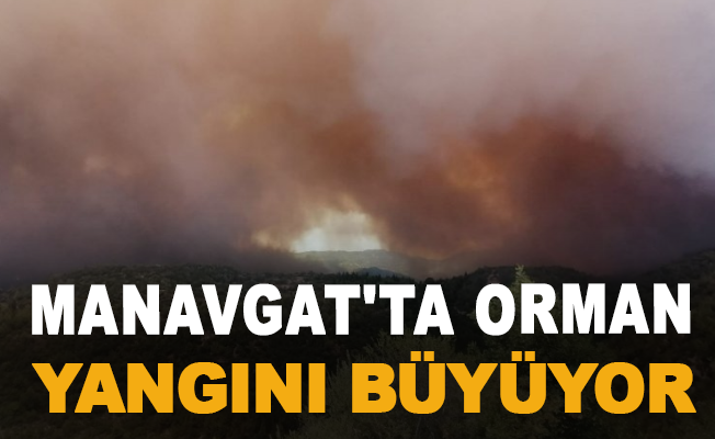 Manavgat'ta orman yangını büyüyor