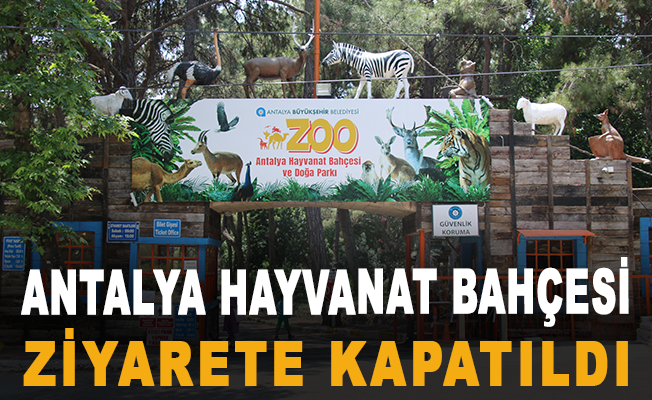 Antalya Hayvanat Bahçesi ziyarete kapatıldı