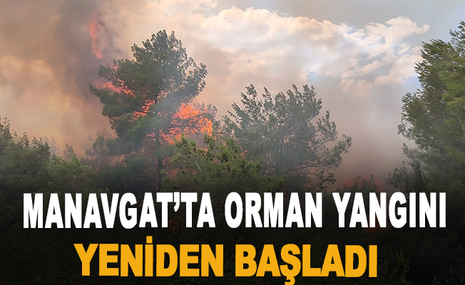 Manavgat’ta orman yangını yeniden başladı