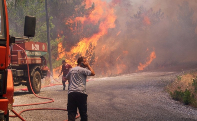İşte Alanya’daki yangınların bilançosu!