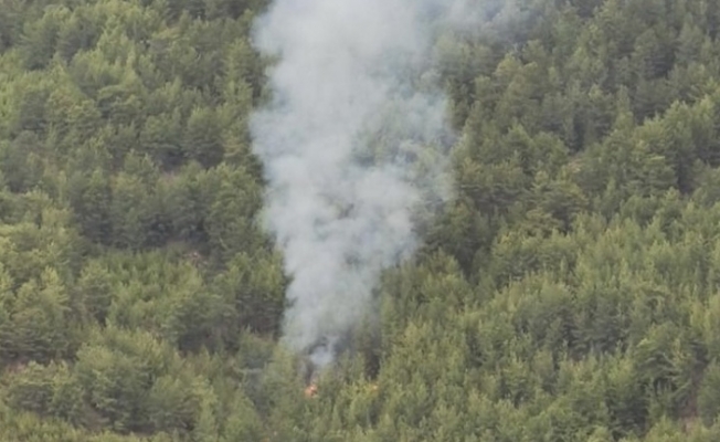 Alanya Türktaş’ta orman yangını