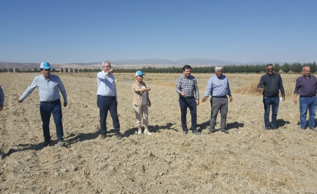 Antalya’da Karakılçık buğdayı üretilmeye başlandı