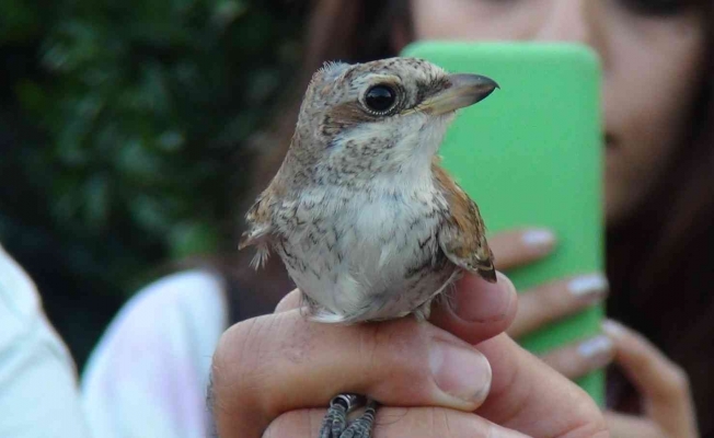 Üniversiteli gençler, doğada kuşların yaşamını öğrenmek için bir araya geldi