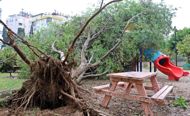 Antalya’da deprem korkusu yaşatan hortum mahalleyi savaş alanına çevirdi