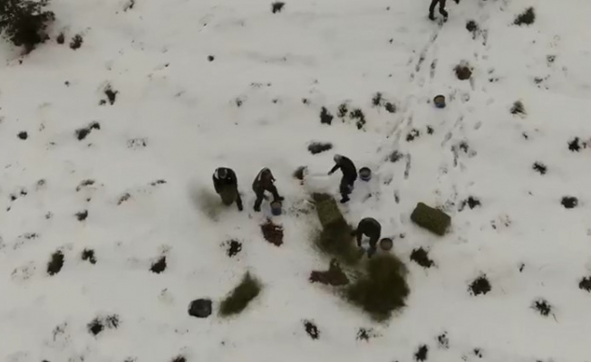Karlı kaplı dağlara yabani hayvanlar için yem bırakıldı