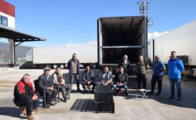 Ülkelerine sebze taşımak için Antalya’ya gelen 16 Ukraynalı şoför mahsur kaldı