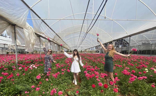 Çiçek bahçesini halka açtı Rus ve Ukraynalı vatandaşların akınına uğradı