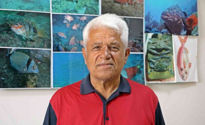 Prof. Dr. Mehmet Gökoğlu: “Yunusların teknelerle yarışı kaybedince intihar ettiği inancı yanlış”