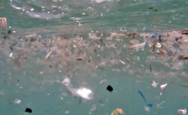 Deniz canlılarının en büyük düşmanı ’Mikroplastikler’