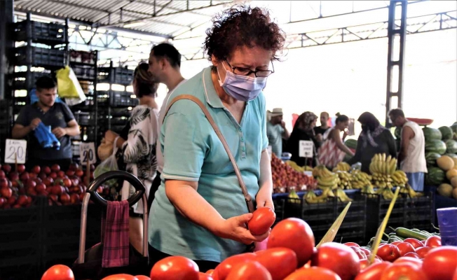 Antalya’da dört gözle beklenen yayla domatesi pazarla buluştu