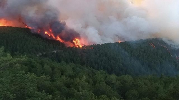 Orman yangını günlerce sürmüş, 7 kişi can vermişti... Manavgat 4-5 yıl içinde yeşil görünümüne kavuşacak