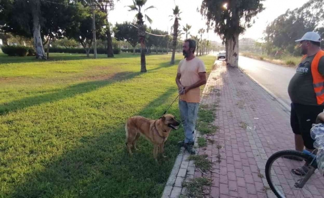 Antalya’da otluk alanda köpek tarafından bulunan cesedin kimliği belirlendi