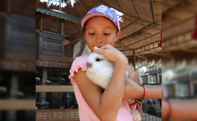 Savaş mağduru Ukraynalı çocukların hayvanat bahçesi keyfi