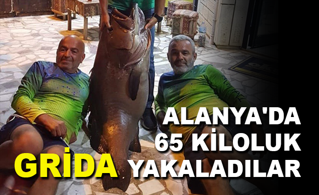 Alanya'da 65 kiloluk Grida yakaladılar