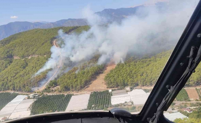 Antalya’da Kumluca’da orman yangını