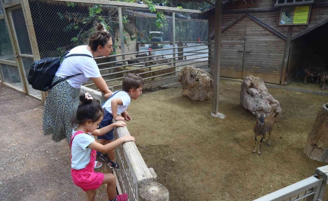 Büyükşehir Belediyesi Hayvanat Bahçesini 500 bin vatandaş ziyaret etti