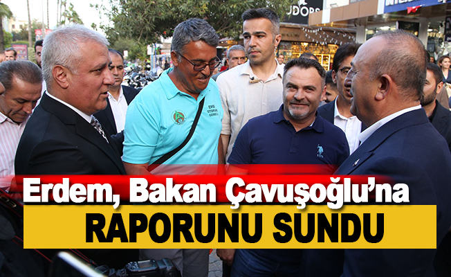 Eray Erdem, Bakan Çavuşoğlu'na raporunu sundu
