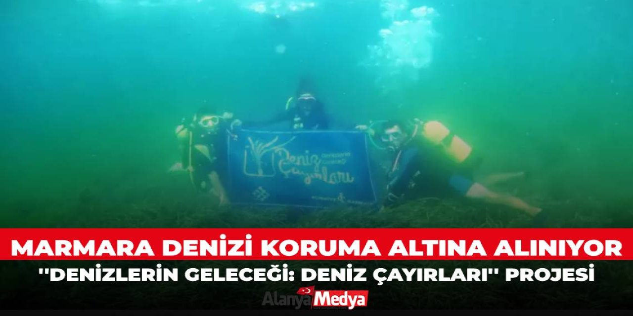 Marmara Denizinin koruma altına alınıyor! ''Denizlerin Geleceği: Deniz Çayırları'' projesi...