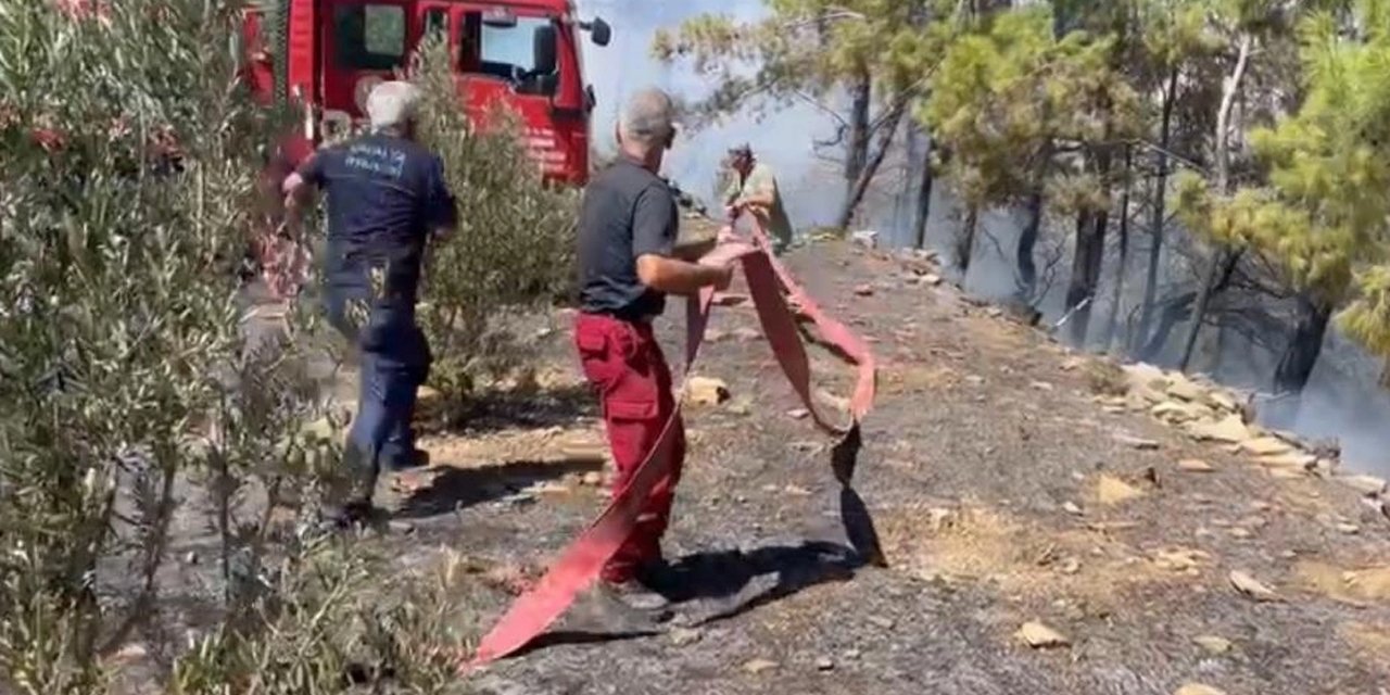 Alanya'da orman yangını! Havadan ve karadan müdahale edildi