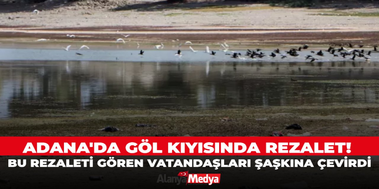 Adana'da göl kıyısında rezalet! Bu rezaleti gören vatandaşları şaşkına çevirdi