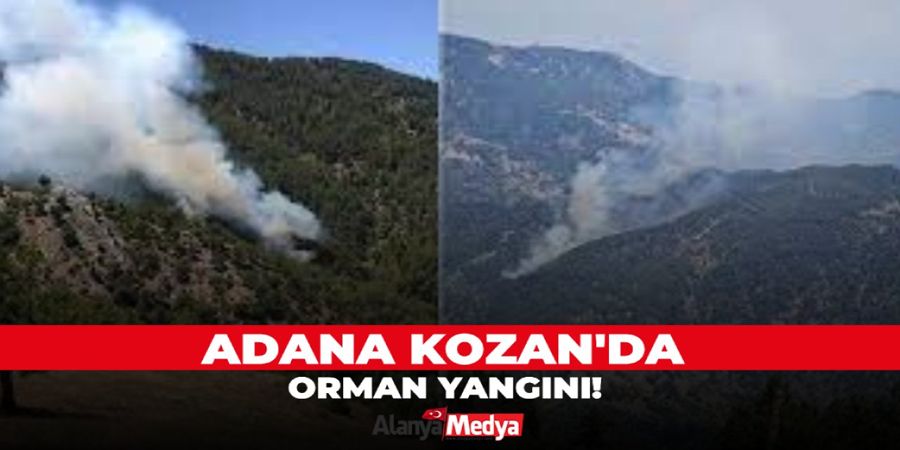 Adana Kozan'da orman yangını!