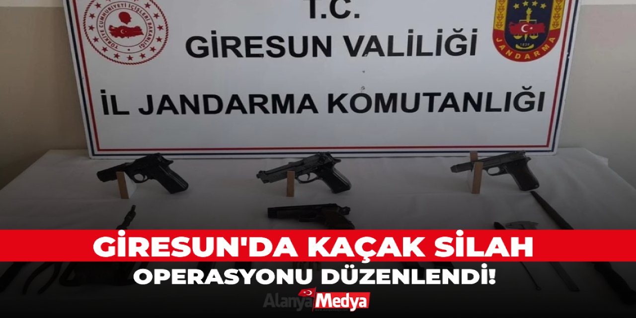 Giresun'da kaçak silah operasyonu düzenlendi!