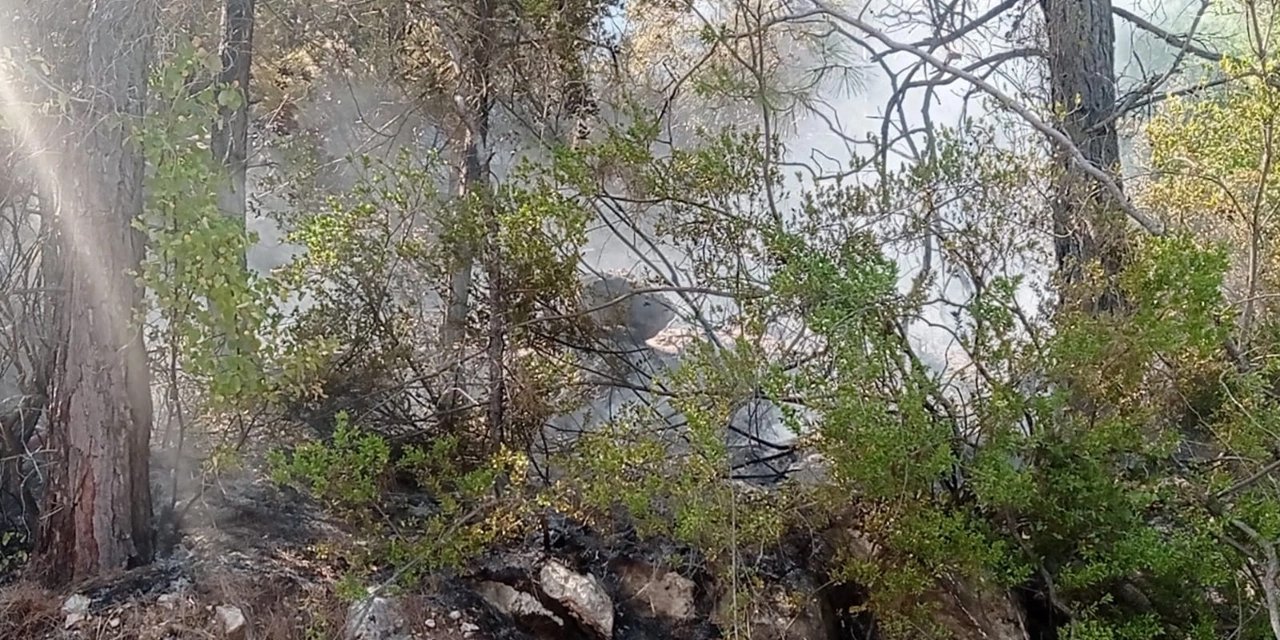 Alanya'da orman yangını! Aynı bölgede 4. vaka