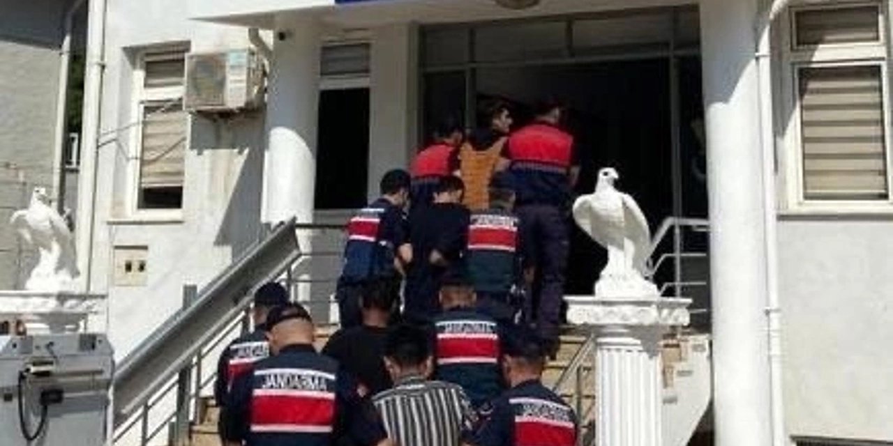 Alanya'da hırsızlara jandarma darbesi! 400 Avokado geri alındı