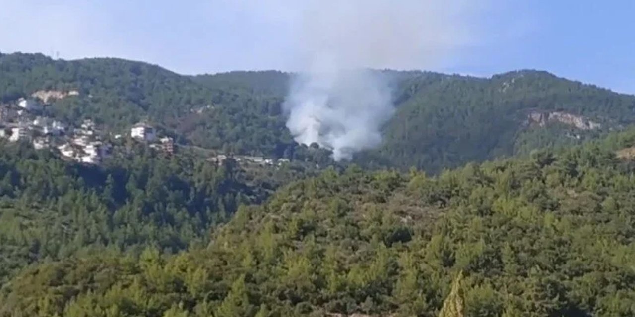 Alanya'da orman yangını! Havadan ve karadan kurtarma çalışmaları sürüyor